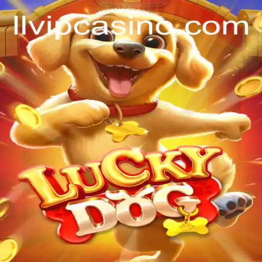 Unleash Your Luck with LuckyDog: Brazil's #1 Betting Platform